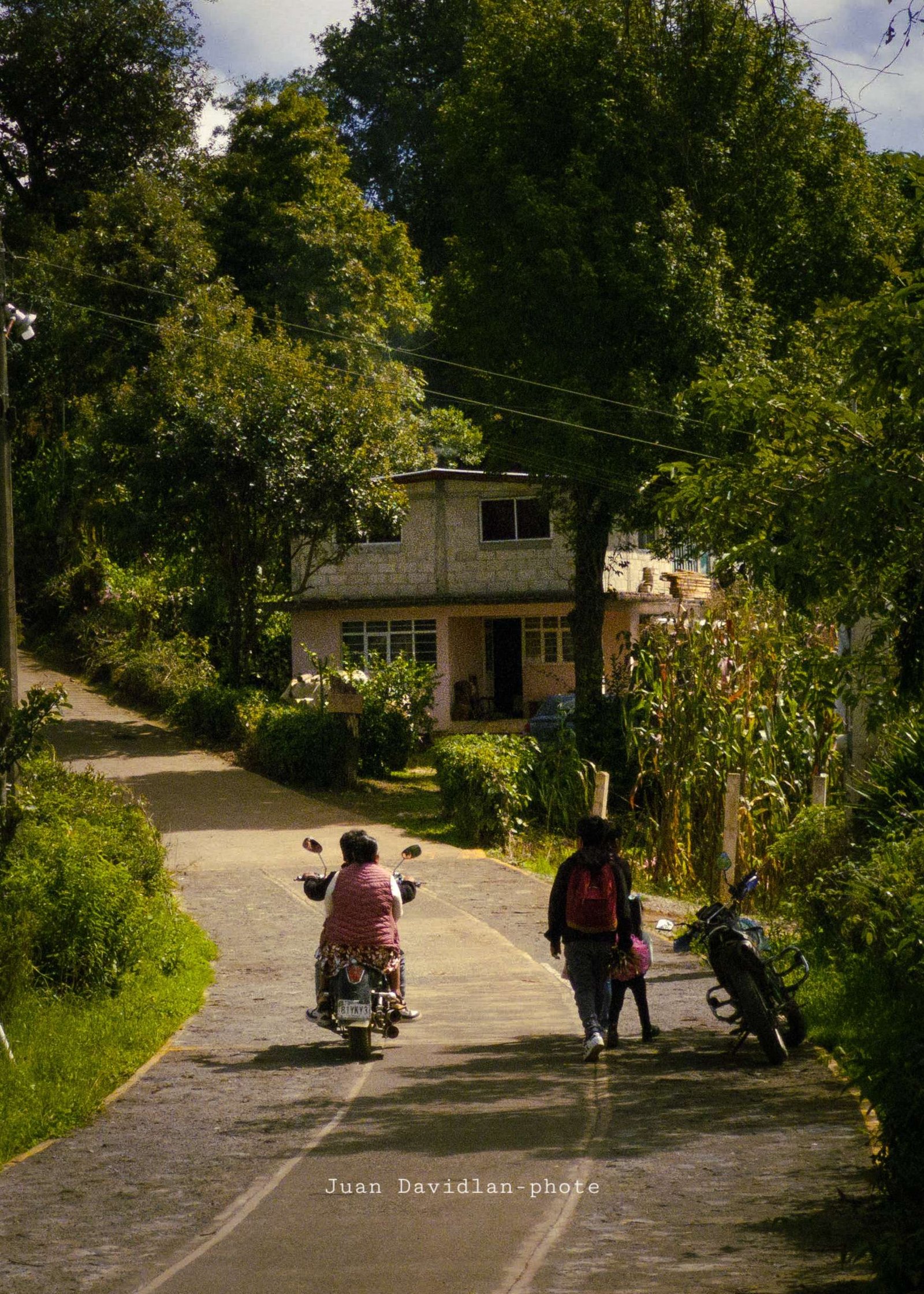 Comunidad en tonos verdes - Paisajes y naturaleza de Altotonga