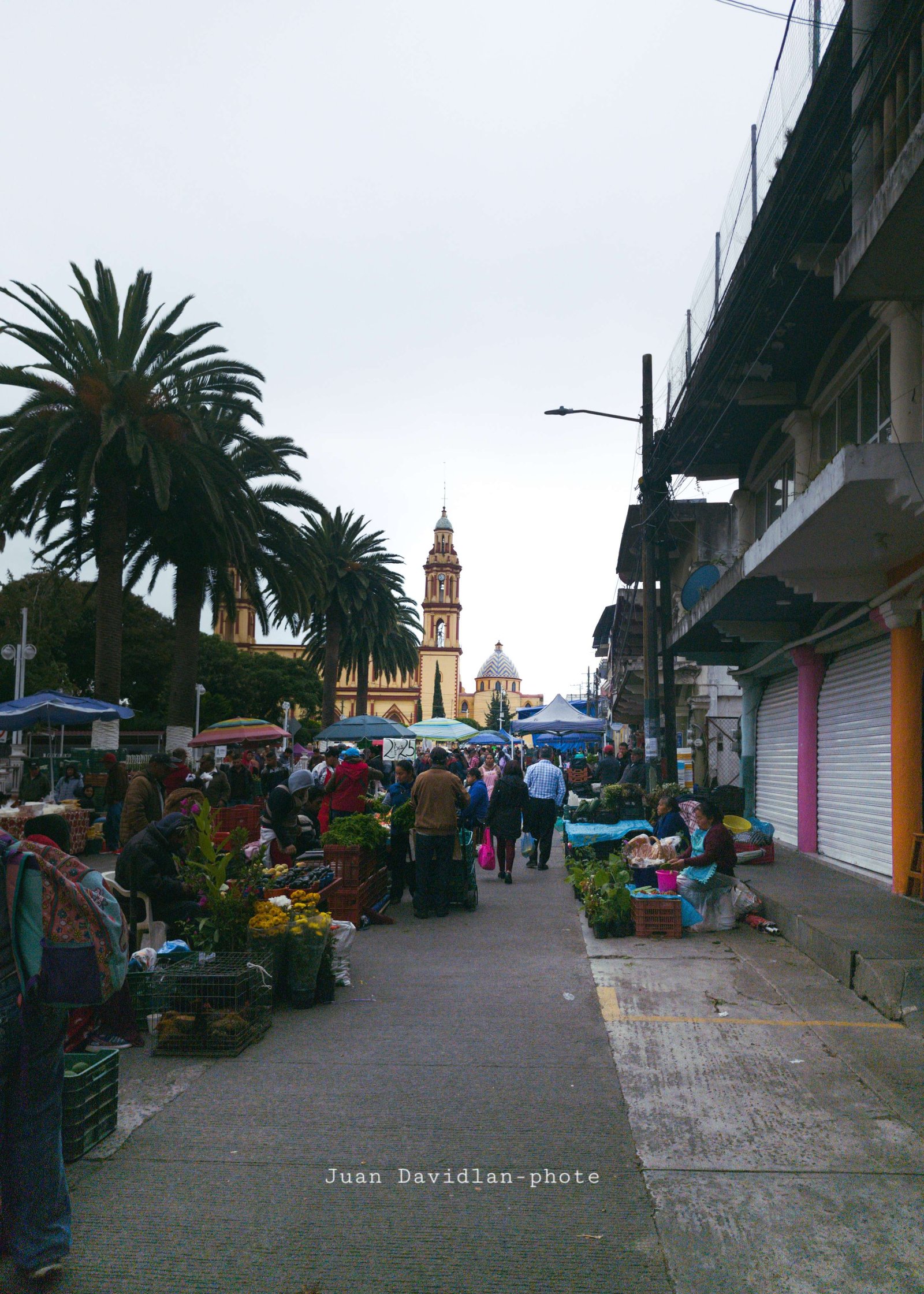 El Mercado Por La Mañana  - Calles de Altotonga, Veracruz
