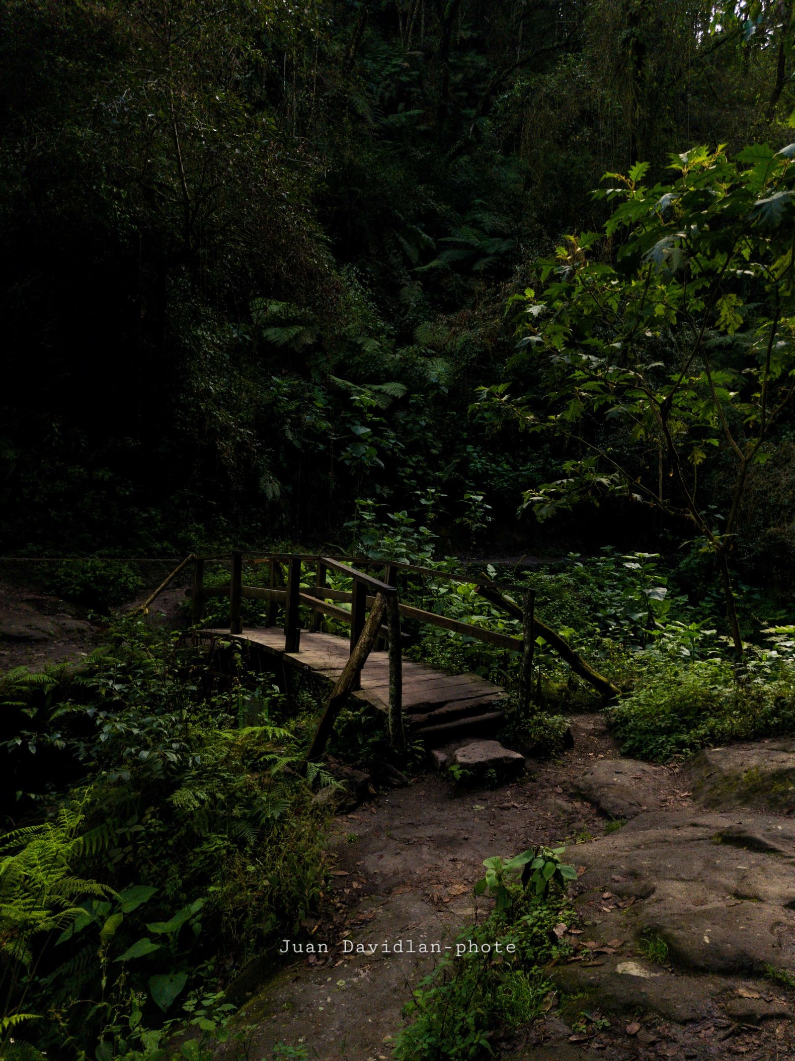 Altotonga Paisajes