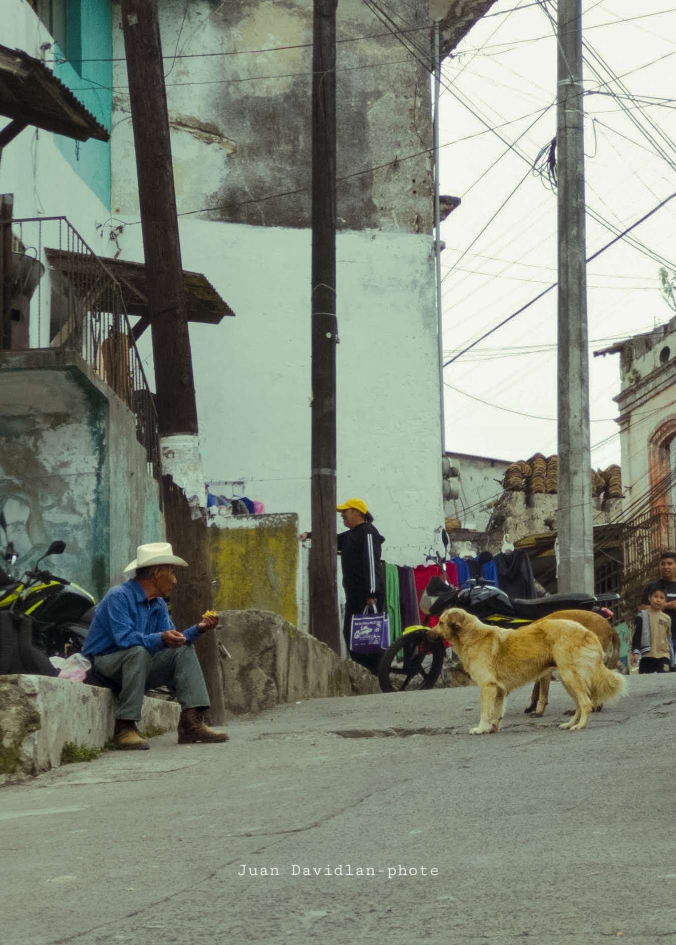 El.Sr y El perro - Rostros y personas de Altotonga