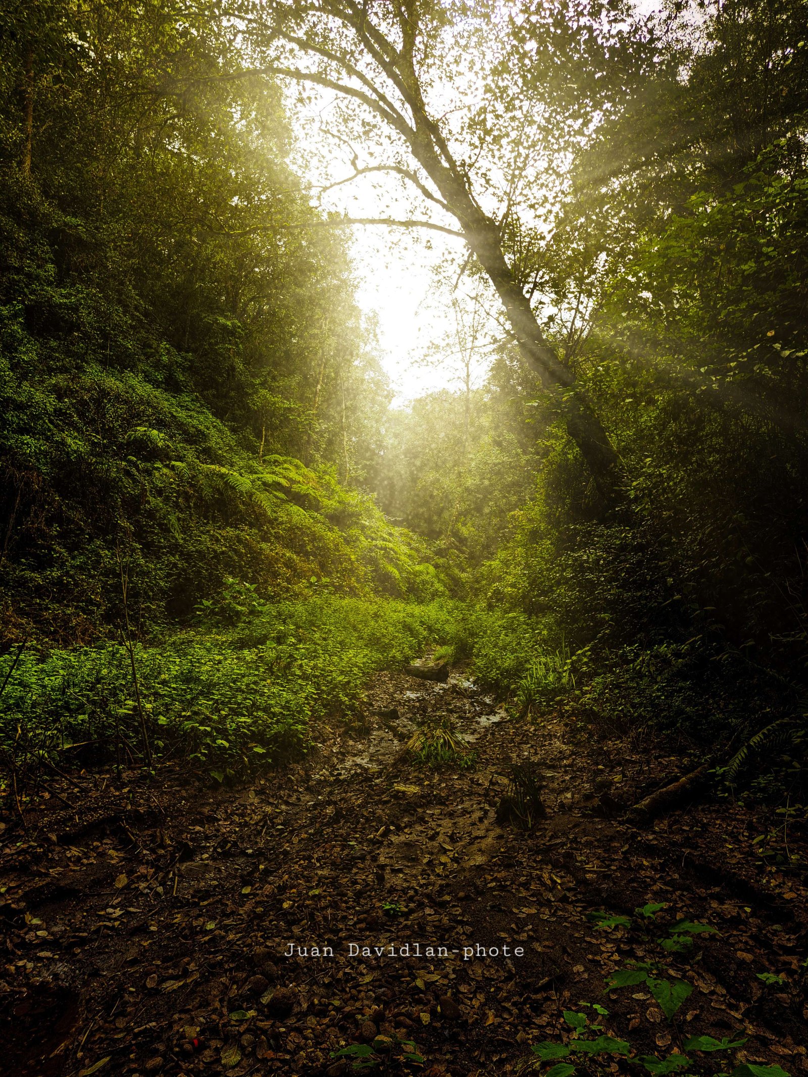 Altotonga Paisajes